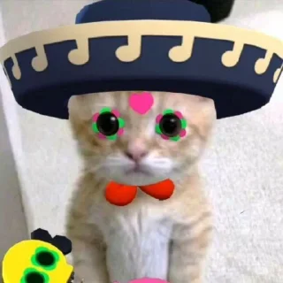 🐱 emoji dudul | @tikeltikelimued Telegram sticker 8 of 19