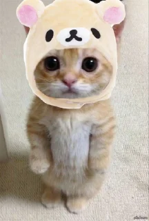 Sticker from @ihozu — dudul ^___^