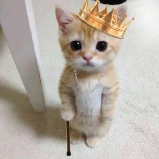 👑 emoji dudul gemes kata alin Telegram sticker 6 of 17