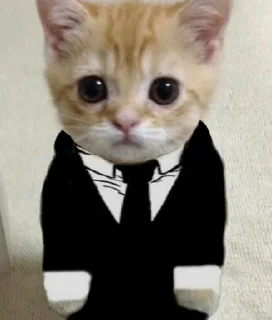 🐱 emoji dudul | @tikeltikelimued Telegram sticker 7 of 19