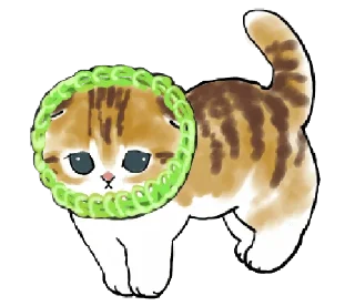 💬 emoji dudul (kitten) @gmoue! Telegram sticker 18 of 39
