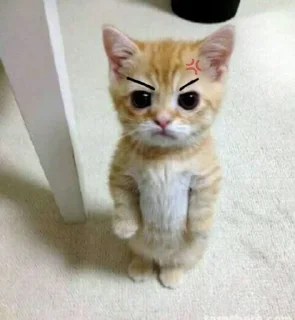 💬 emoji si keren dudul @gmoue! Telegram sticker 16 of 32