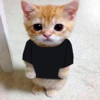🪄 emoji dudul Telegram sticker 6 of 22
