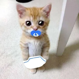 🥺 emoji dudul gemes kata alin Telegram sticker 11 of 17