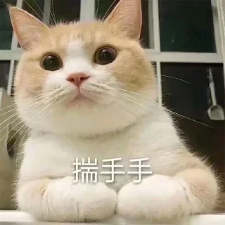 ❤️ emoji 全网最后的深情  @jiu141355 Telegram sticker 24 of 120