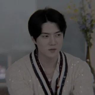 🥢 emoji ❛ - ̗̀sehun @JOANNAGLADIE18 Telegram sticker 21 of 40