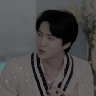🥢 emoji ❛ - ̗̀sehun @JOANNAGLADIE18 Telegram sticker 23 of 40