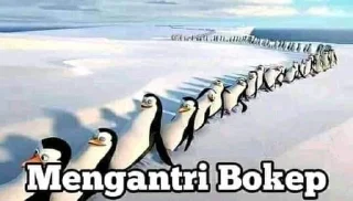 🗿 emoji pinguin bokepnya @distortedbrain Telegram sticker 6 of 25