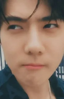 Sticker from Sehun