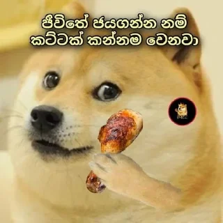 Sticker from Maru Habay - Cheems Pack🐶