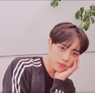☀️ emoji sunwoo , 김 @pacarskz Telegram sticker 9 of 30