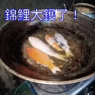 😣 emoji 锦鲤表情包 Telegram sticker 6 of 85