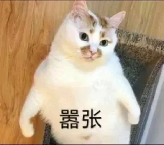 😂 emoji 锦鲤转运表情包 👉 @JsjXTBOT Telegram sticker 1 of 76