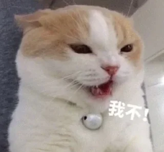 😂 emoji 锦鲤转运表情包 👉 @JsjXTBOT Telegram sticker 24 of 76