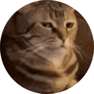 🌟 emoji @shubh_you Telegram sticker 13 of 119