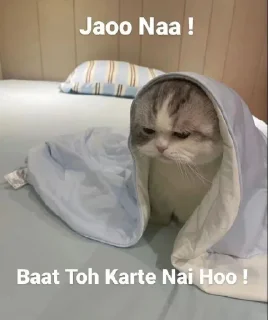 😭 emoji Teju Bhai- @kanekilost Telegram sticker 24 of 29