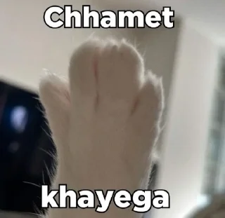 🙄 emoji Teju Bhai- @kanekilost Telegram sticker 3 of 29