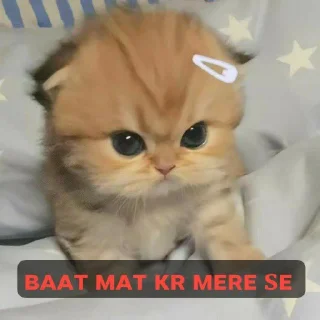 😤 emoji Teju Bhai- @kanekilost Telegram sticker 13 of 29