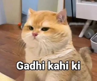 😒 emoji Teju Bhai- @kanekilost Telegram sticker 2 of 29