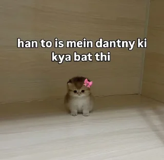 😭 emoji Teju Bhai- @kanekilost Telegram sticker 22 of 29