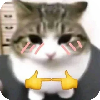 👄 emoji setikerr Telegram sticker 22 of 32