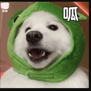 😄 emoji 呱呱 @bidaobi Telegram sticker 18 of 40