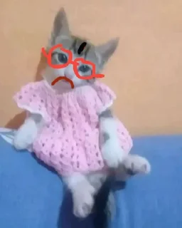 😺 emoji Gentleman emit Telegram sticker 10 of 16