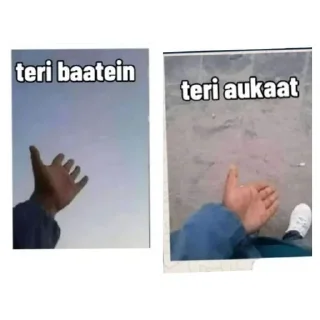 Sticker from Punjabi