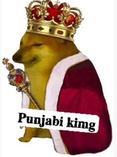 Sticker from Punjabi