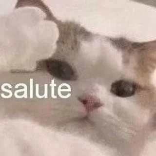 🌟 emoji 0.2℃笔记 2.0（记录群友魅力时刻） Telegram sticker 10 of 75