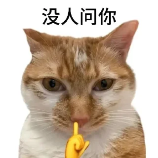 🌟 emoji 0.2℃笔记 2.0（记录群友魅力时刻） Telegram sticker 7 of 75