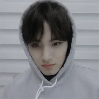 🕷 emoji mingyu @bigelpunya Telegram sticker 9 of 38