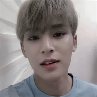 🕷 emoji mingyu @bigelpunya Telegram sticker 17 of 38