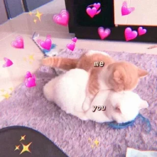 🦁 emoji sofi gemay Telegram sticker 23 of 112