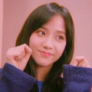 🩰 emoji ʚ @stuffiespie as kim jisoo. ✰ Telegram sticker 10 of 36