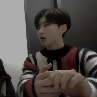 Sticker from 𝗛𝗼𝗿𝗮𝗻𝗴𝗵𝗮𝗲 ⋆ — @stickerseventeen