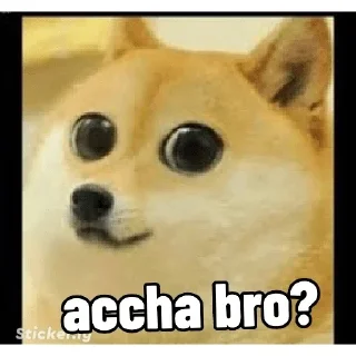 🥺 emoji @baddass_fufa dogesh 🤬🤬 Telegram sticker 8 of 120
