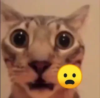 😮 emoji ajojing ala ala ajojing Telegram sticker 22 of 120