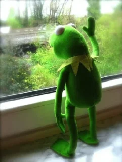 🐸 emoji Kermit Telegram sticker 13 of 25