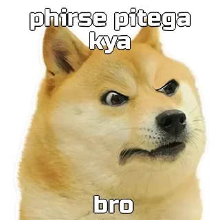 🗿 emoji Dogee pamk  @r_squared_rishabh Telegram sticker 15 of 120