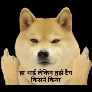 😂 emoji Dogee pamk  @r_squared_rishabh Telegram sticker 18 of 120
