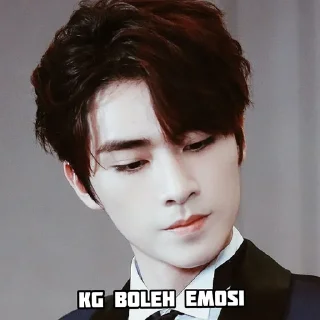 🏁 emoji @kingvcdka as xiaojun Telegram sticker 24 of 32