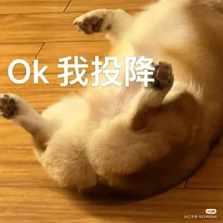 🌟 emoji oshimeinu~修狗 Telegram sticker 18 of 41