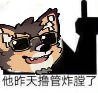 🕶️ emoji 帕狗 Telegram sticker 12 of 69