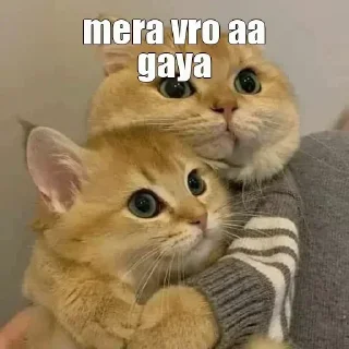 🏵 emoji Naveen's Favourites 1 (@CalsiBot) Telegram sticker 20 of 117