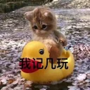 😞 emoji Ray‘s cat&dog Telegram sticker 14 of 102
