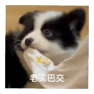 😄 emoji 修狗の表情包 Telegram sticker 11 of 18