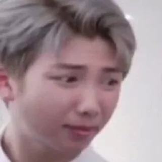 Sticker from namjoon meme
