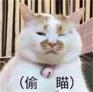 👀 emoji 每日沙雕墙 @woshadiao Telegram sticker 19 of 74