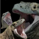 🦎 emoji Mad Laugh Telegram sticker 24 of 34